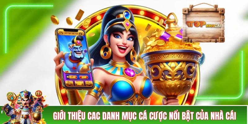 BIN88 - Nhà Cái Thượng Lưu, Chất Lượng Chuẩn 5 Sao Giới thiệu cac danh mục cá cược nổi bật của nhà cái