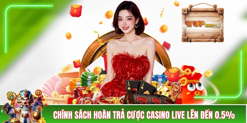 Nhà Cái BIG88 - Trải Nghiệm Cực Đã Với 4 Khuyến Mãi Lớn Chính sách hoàn trả cược casino live lên đến 0.5%
