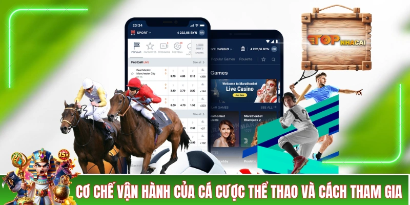Cơ chế vận hành của cá cược thể thao và cách tham gia