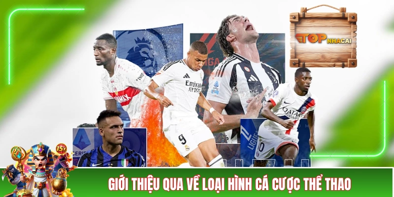 Giới thiệu qua về loại hình cá cược thể thao